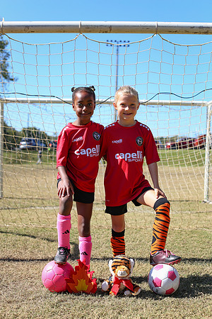 Fire Tigers 2025-001