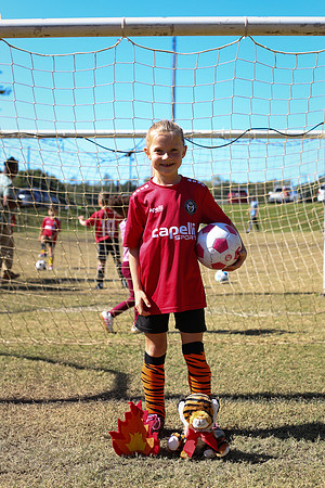 Fire Tigers 2025-003