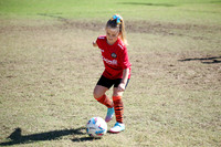 Fire Tigers 2025-016