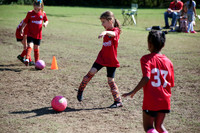 Fire Tigers 2025-018