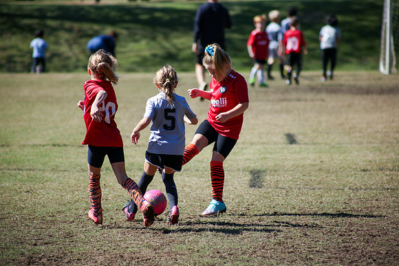 Fire Tigers 2025-038