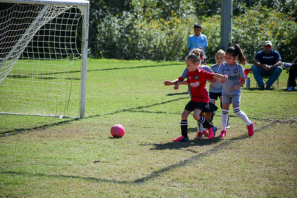 Fire Tigers 2025-041