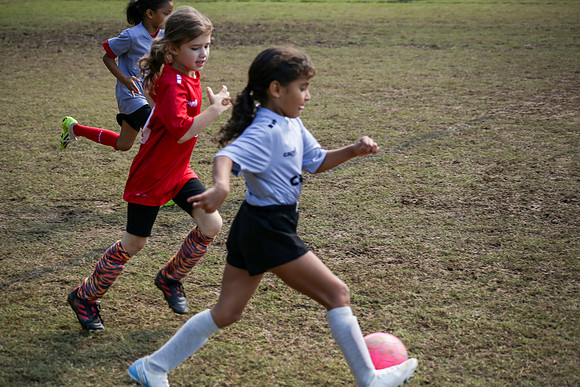 Fire Tigers 2025-049