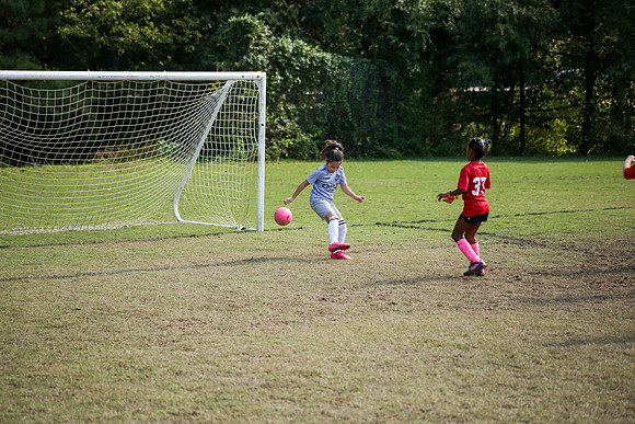 Fire Tigers 2025-052