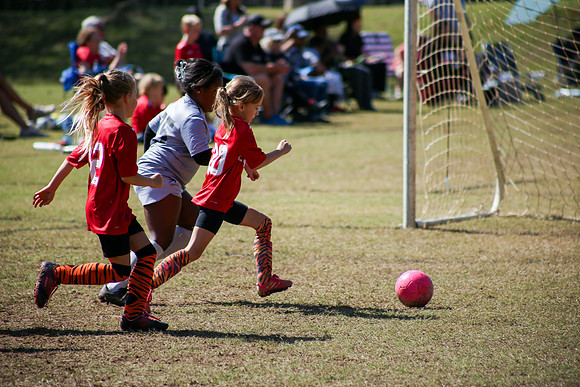 Fire Tigers 2025-054