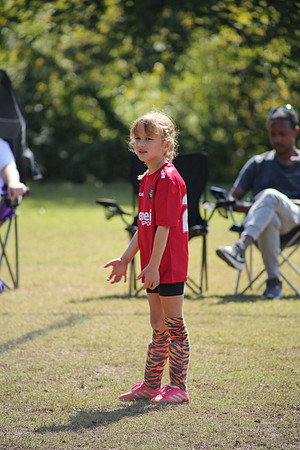 Fire Tigers 2025-059