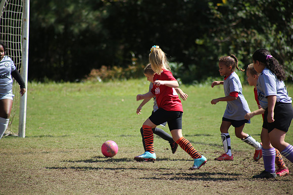 Fire Tigers 2025-063