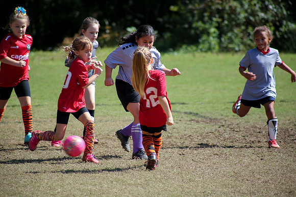 Fire Tigers 2025-064