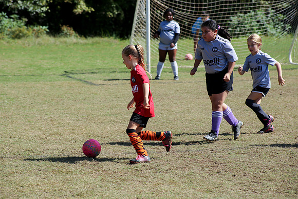 Fire Tigers 2025-067