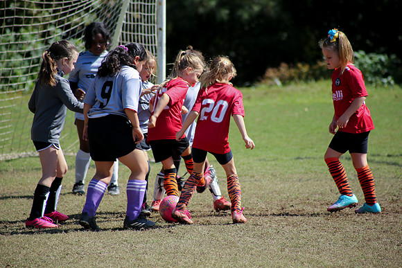 Fire Tigers 2025-068