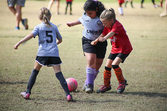 Fire Tigers 2025-072