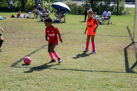 Fire Tigers 2025-070