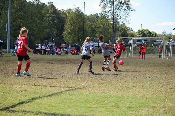 Fire Tigers 2025-073