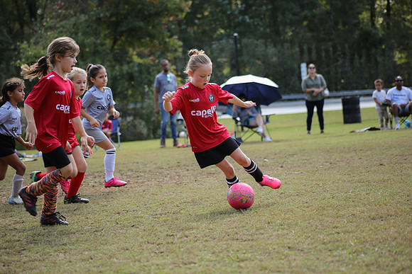 Fire Tigers 2025-083