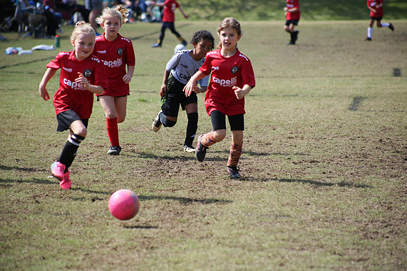 Fire Tigers 2025-088