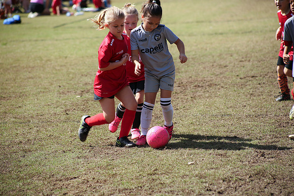 Fire Tigers 2025-095