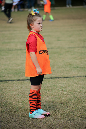 Fire Tigers 2025-114