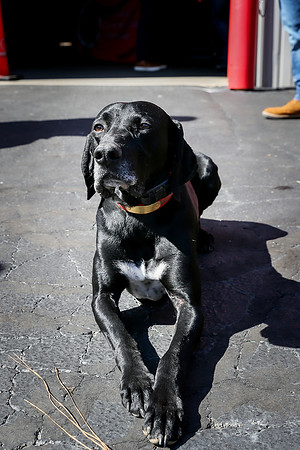 Candids, Safety Stations, Vendor Tables 2026-237