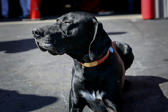 Candids, Safety Stations, Vendor Tables 2026-238