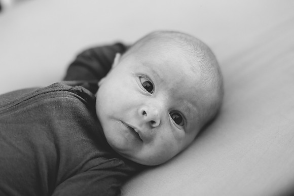 James Newborn 2024-02
