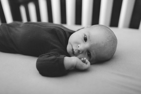James Newborn 2024-10