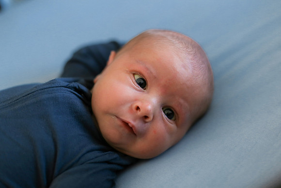 James Newborn 2024-01